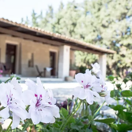 Agriturismo De Lorenzi Bed & Breakfast